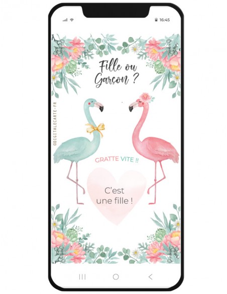 gender reveal c'est une fille